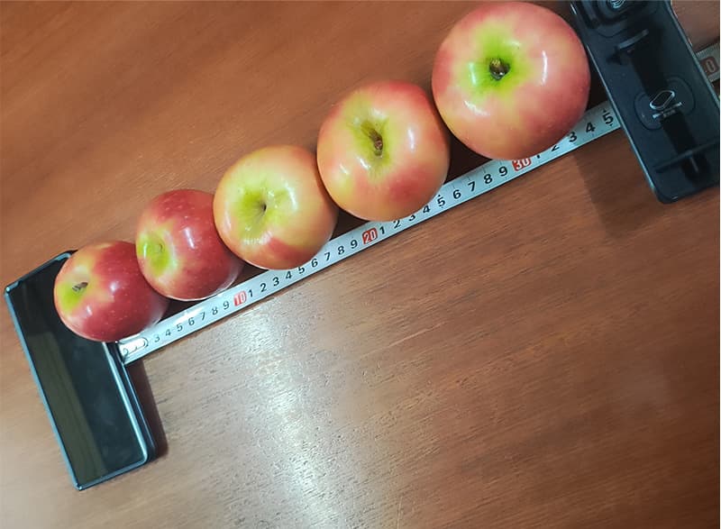 images/1749801775915clasificadora de manzana.jpg